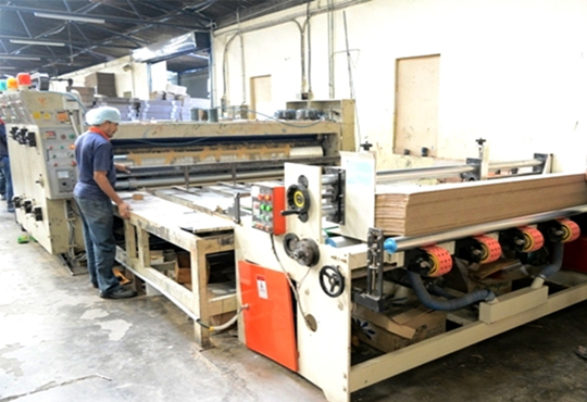 Two colour flexo printer/slotter  feeder view